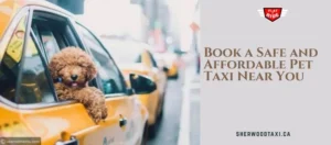 Book a Safe and Affordable Pet Taxi Near You