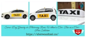 Taxi as a Car-Free Solution