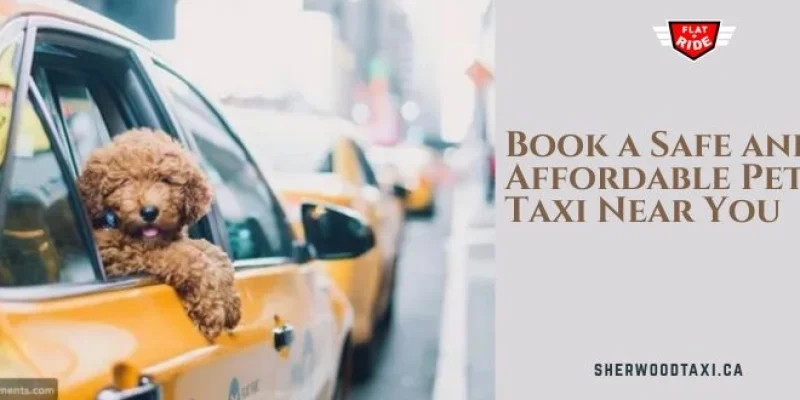 Book a Safe and Affordable Pet Taxi Near You